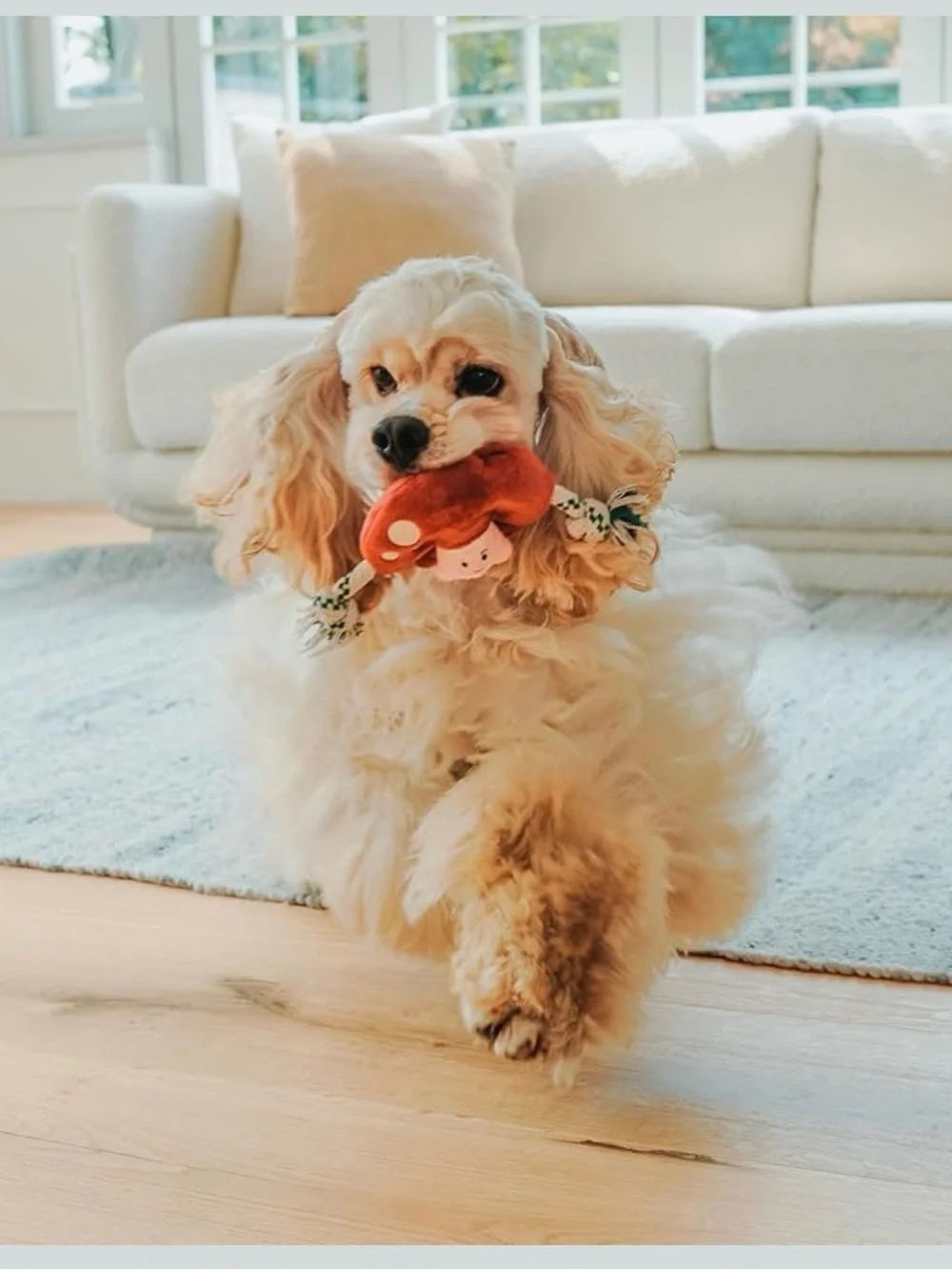Plush Mushroom Rope Dog Toy - Pink & Berry, NWT